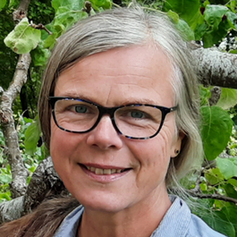 Ann Paulin