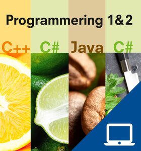 Programmering 1 & 2, digitalt lärarmaterial, 12 mån.