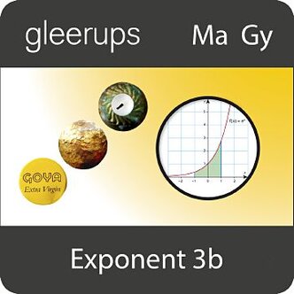 Exponent 3b, digitalt läromedel, elev, 6 mån