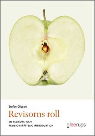 Revisorns roll