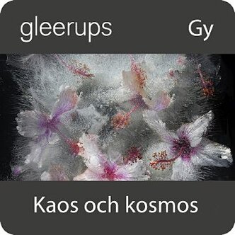 Kaos och kosmos, Filosofi 1, digitalt, elev, 12 mån, Gy25