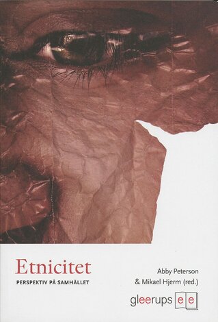 Etnicitet, e-bok