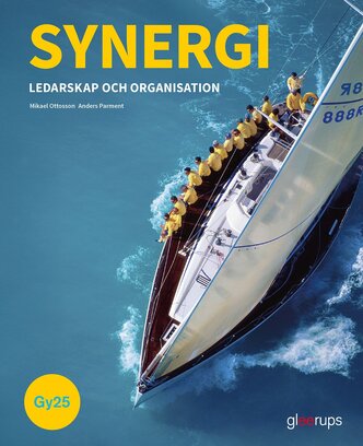 Synergi ledarskap och organisation, bok, Gy25