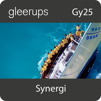 Synergi ledarskap och organisation 1 dig, elev, 12 mån, Gy25