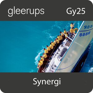 Synergi Ledarskap och organisation 1 dig, lärare, 12 m, Gy25