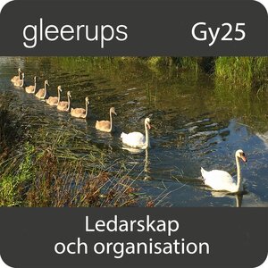 Ledarskap och organisation, digitalt, elev, 12 mån, Gy25
