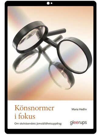 Könsnormer i fokus e-bok