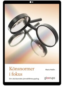 Könsnormer i fokus e-bok