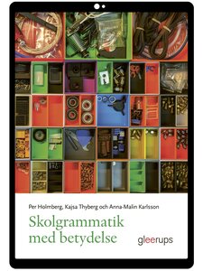 Skolgrammatik med betydelse e-bok