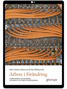 Arbete i förändring e-bok